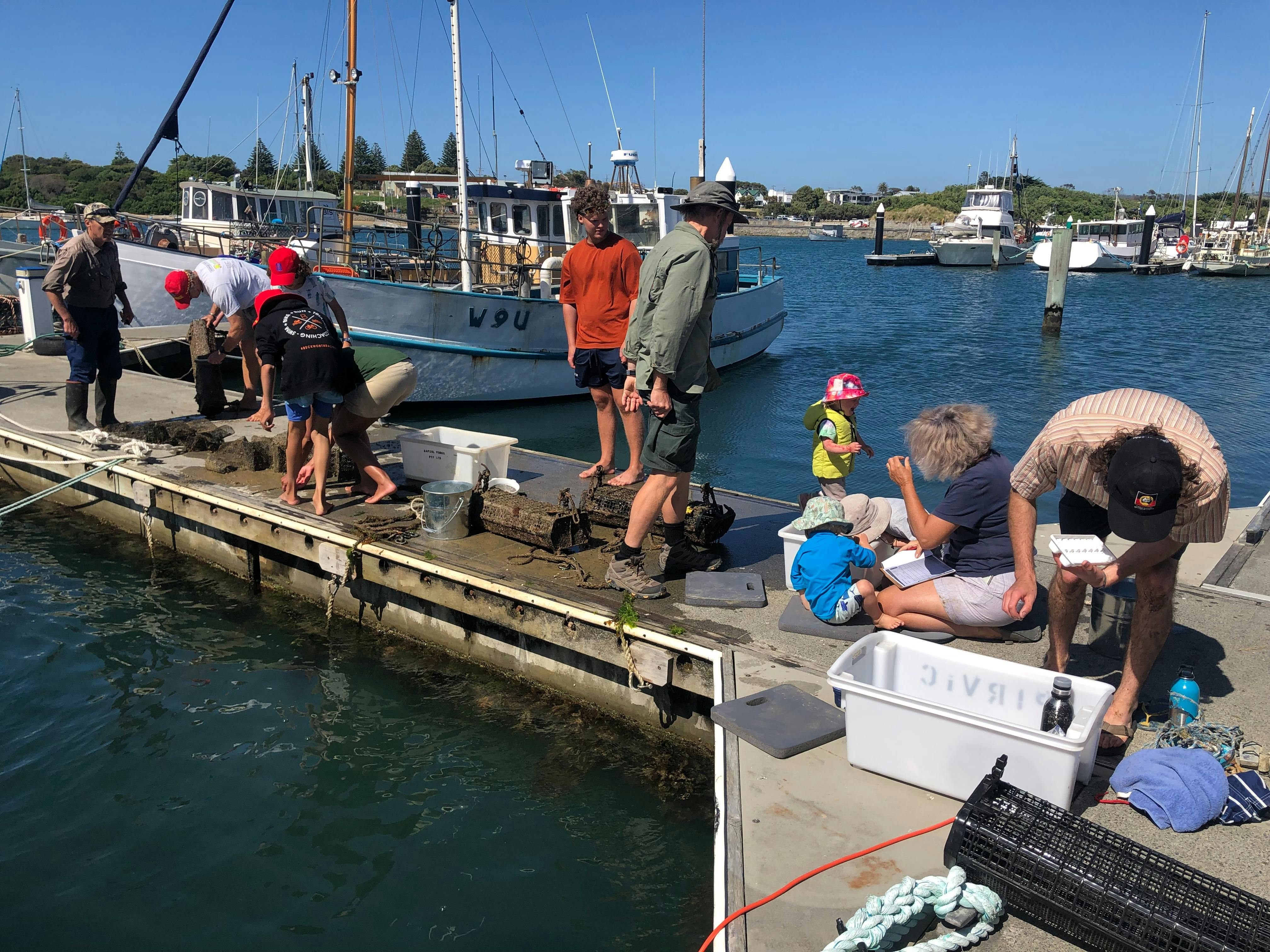 Puerulus Monitoring by Otway Ocean Care