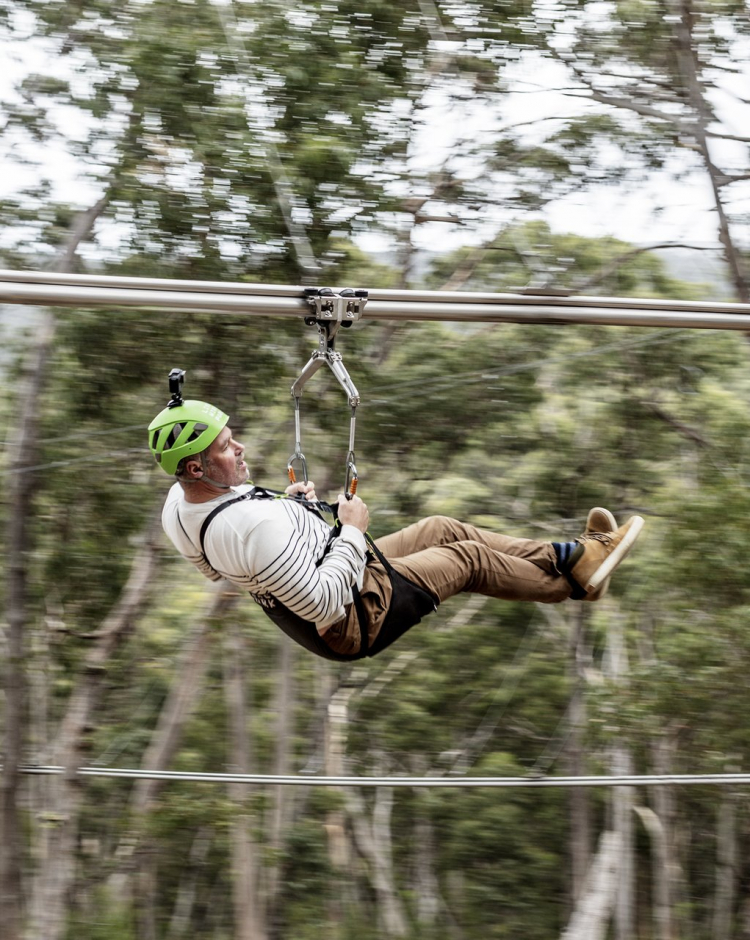 Visit Great Ocean Road Overcoming our fears at Live Wire Park