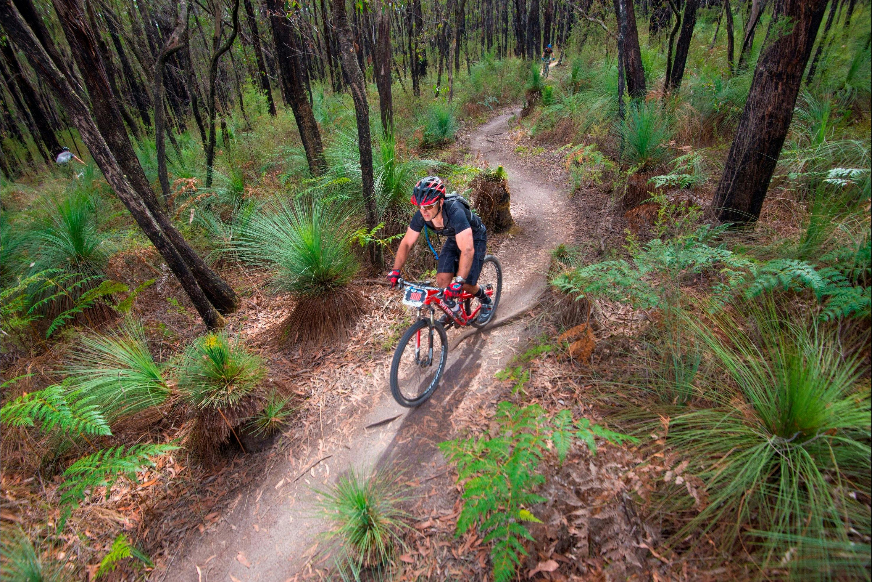 Otway Odyssey MTB Marathon and Great Otway Gravel Grind