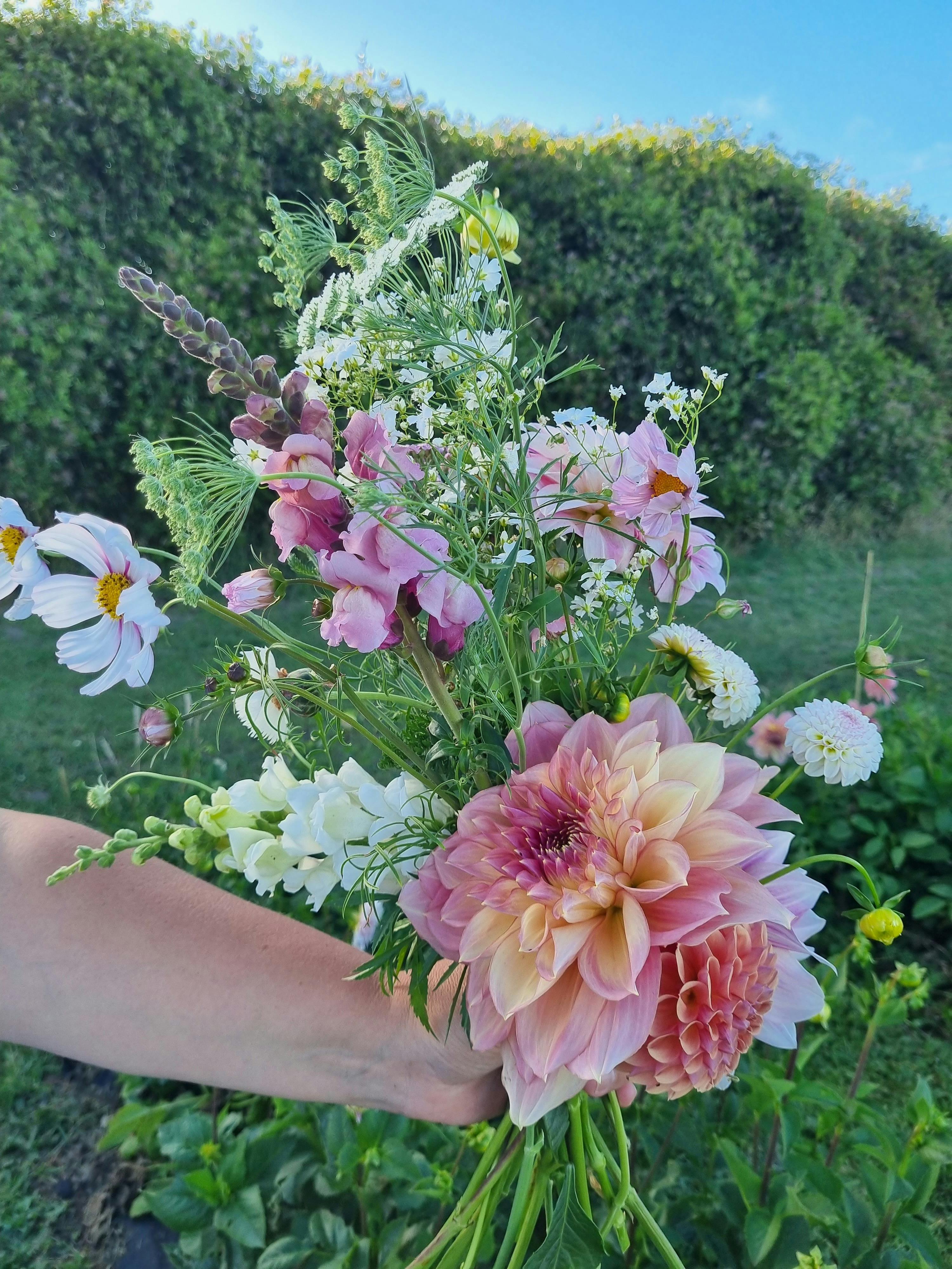 Pick your own flowers at Meadowbrooke