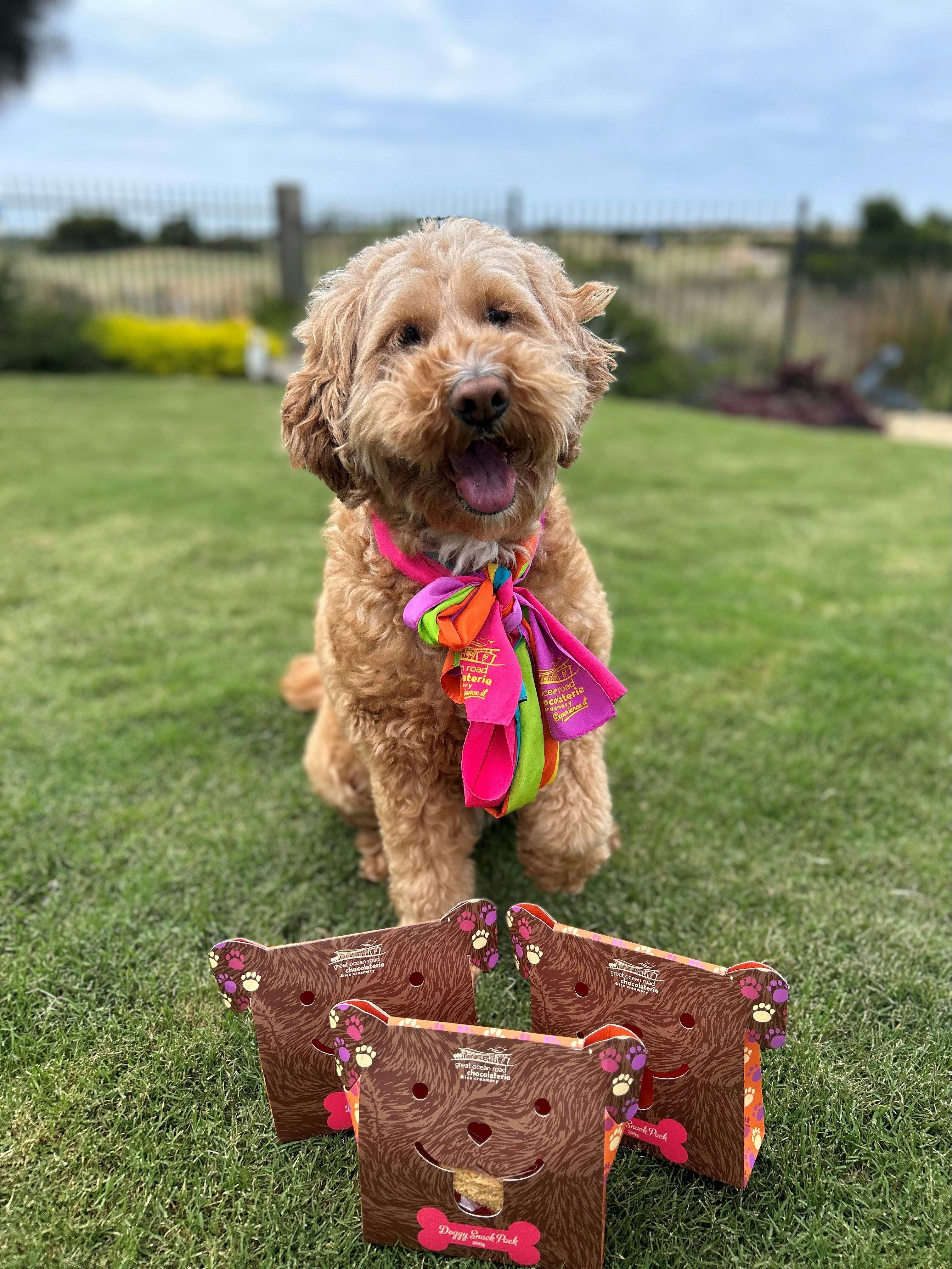 Dog Lover's Day at the Chocolaterie