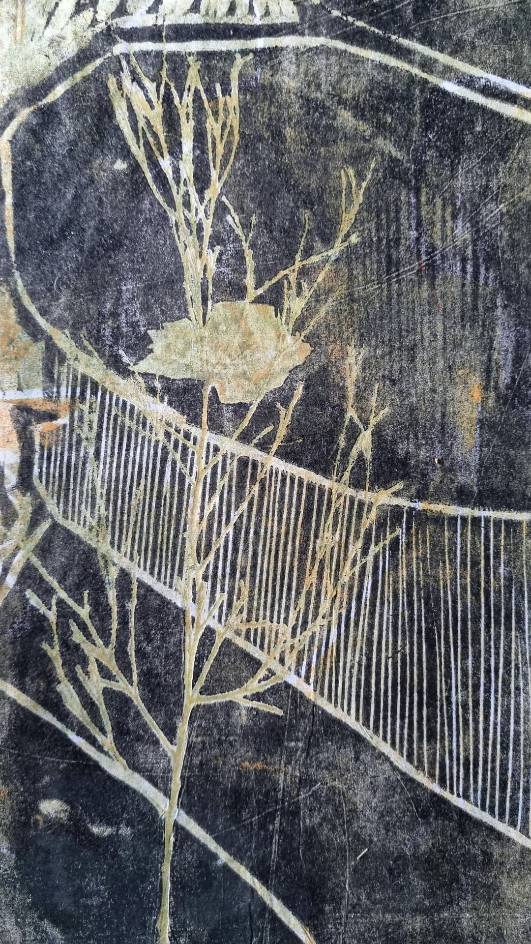 The Appreciation of Naturals with Gaye Nieuwenhof