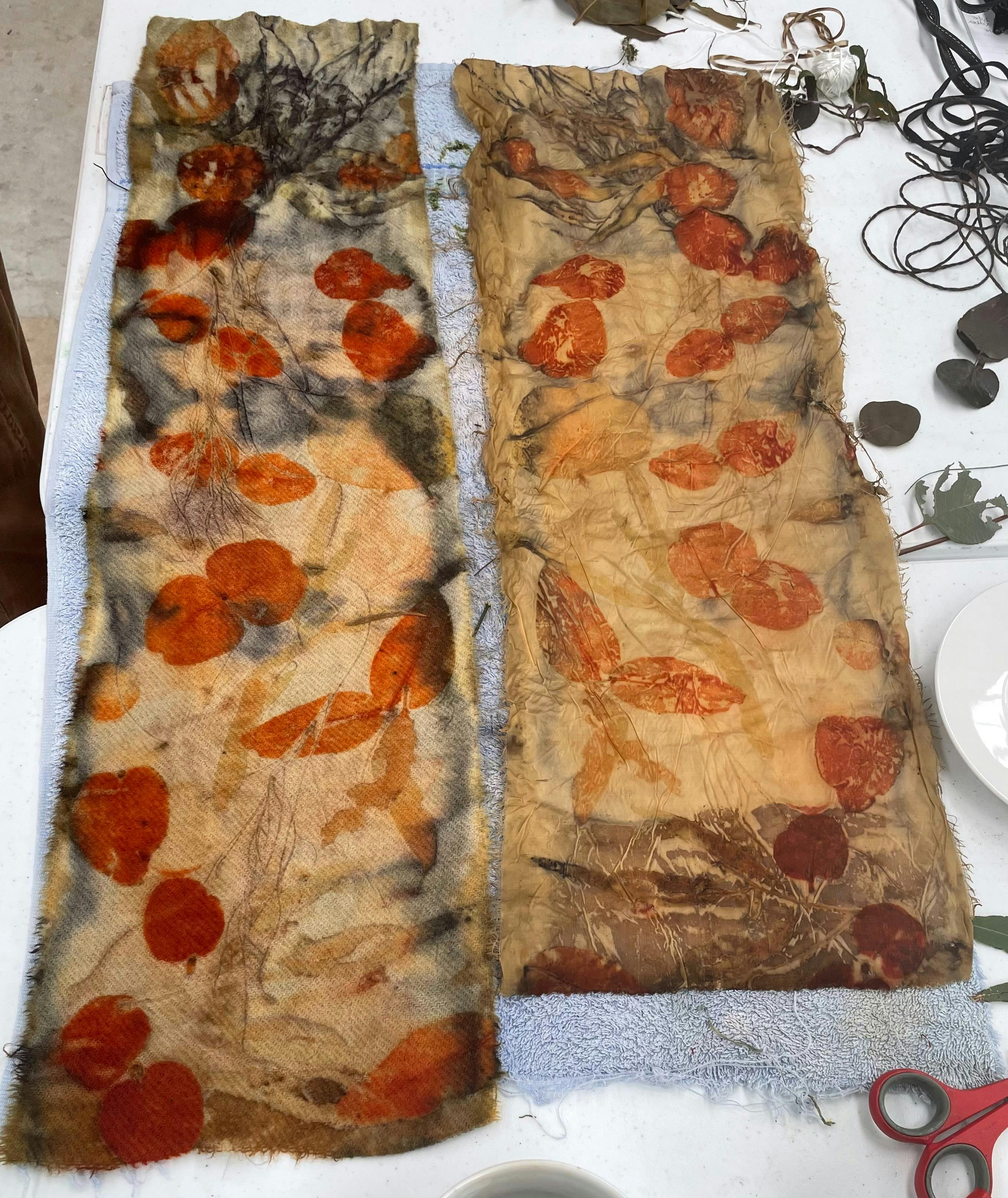 Eco / Bush Dyeing Workshop with Marion Matthews