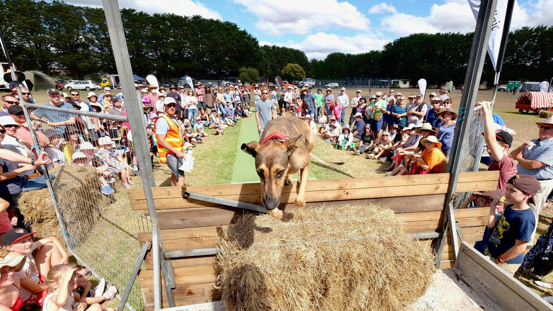 Deans Marsh Festival