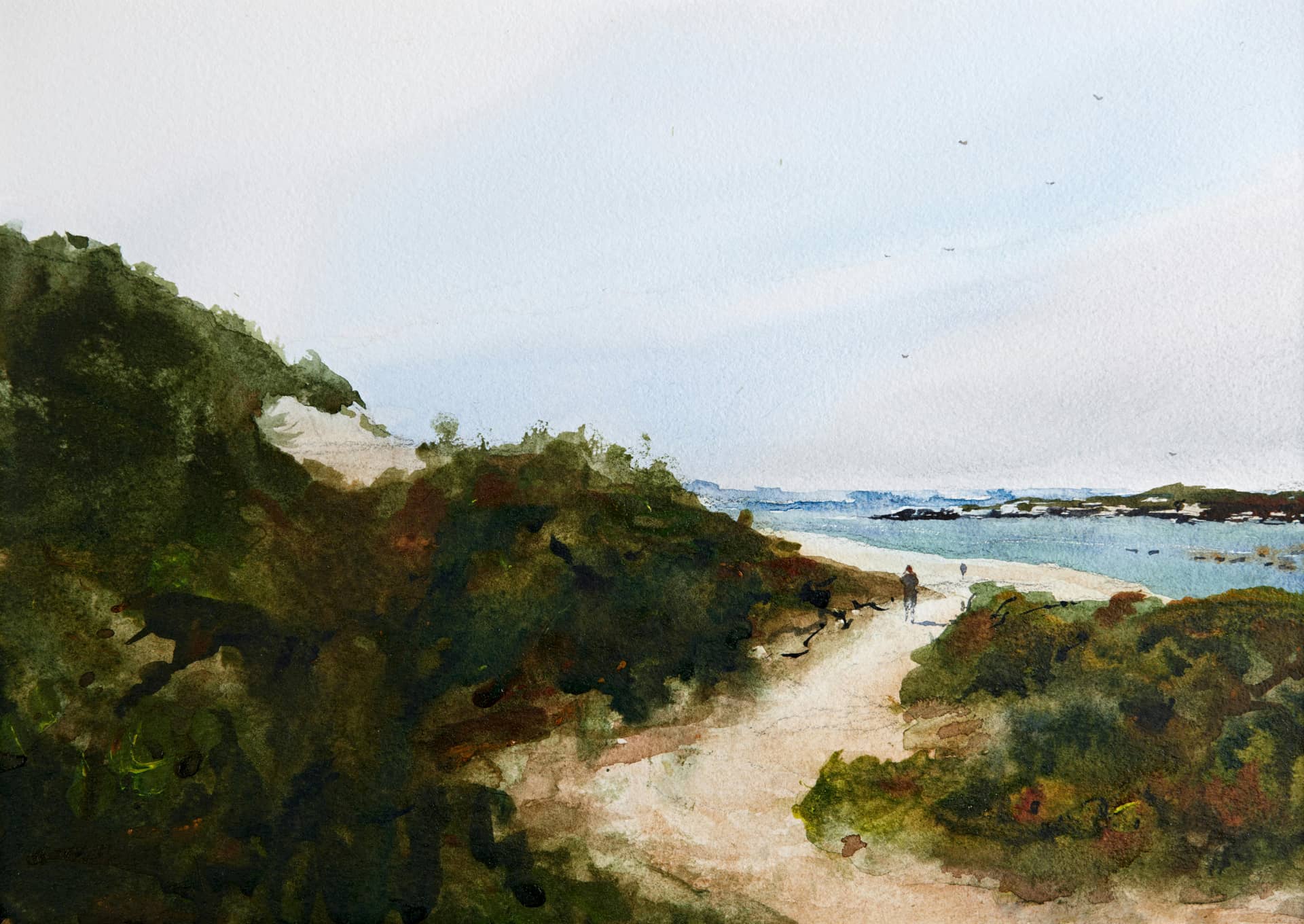 Watercolour Simplified: A One Day Worksho with Damian Goodman
