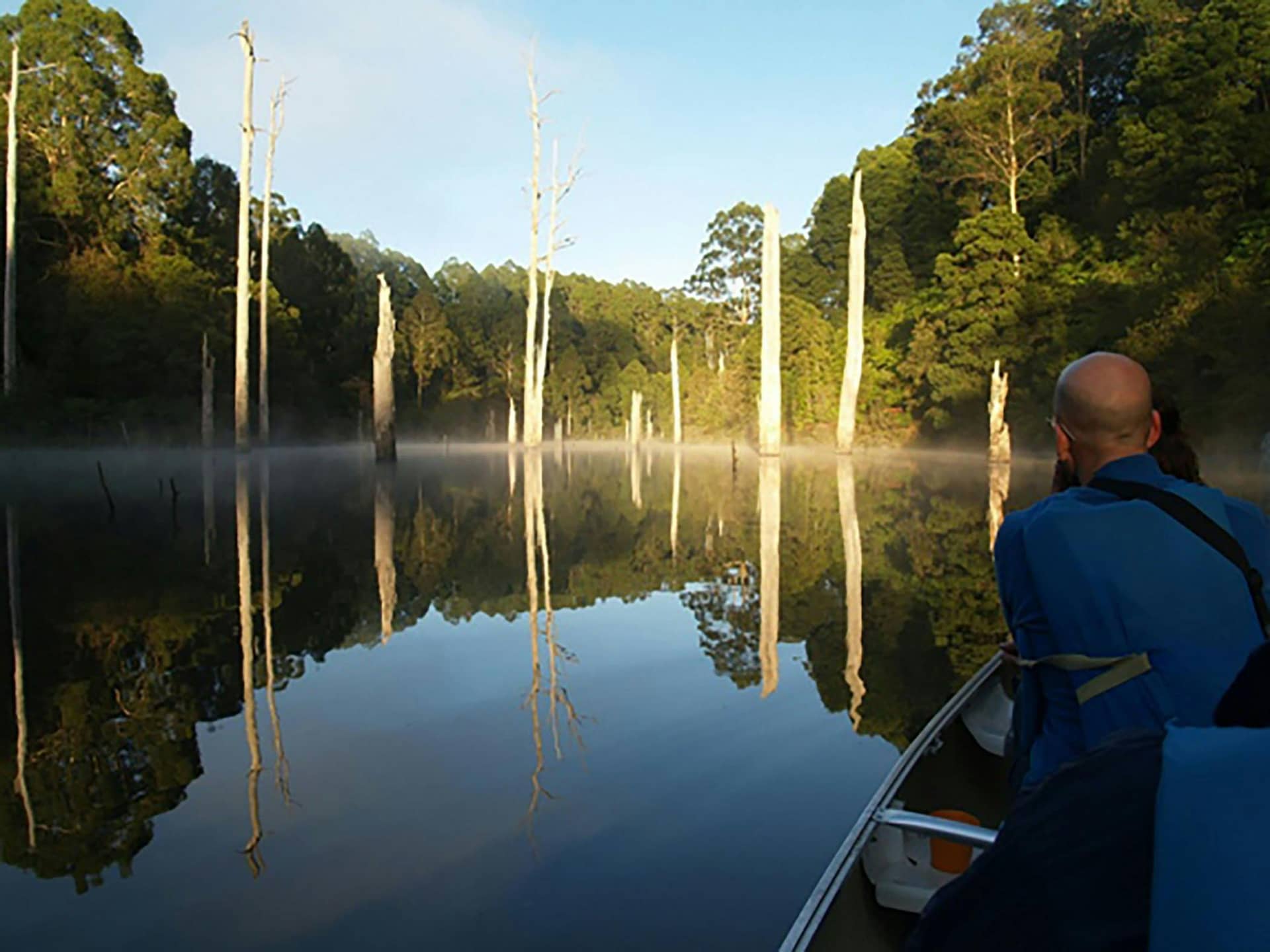 Platypus In The Wild Tour