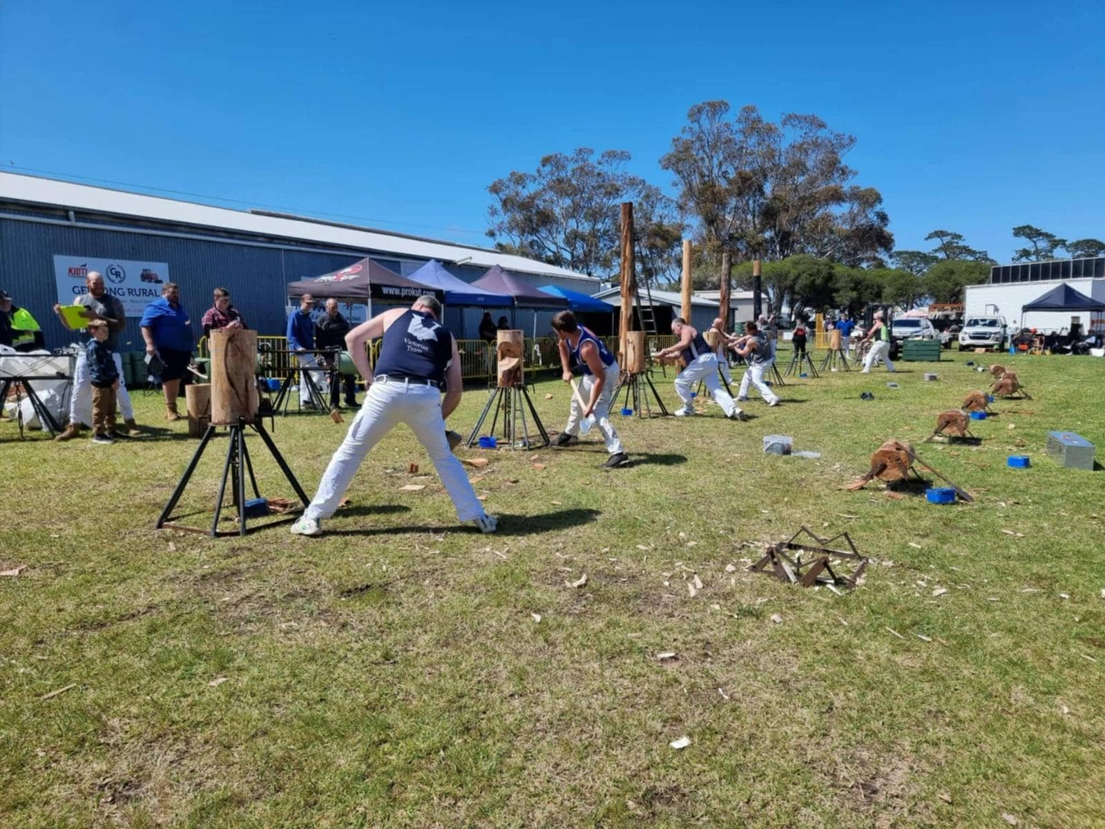 Wood Chopping Challenge