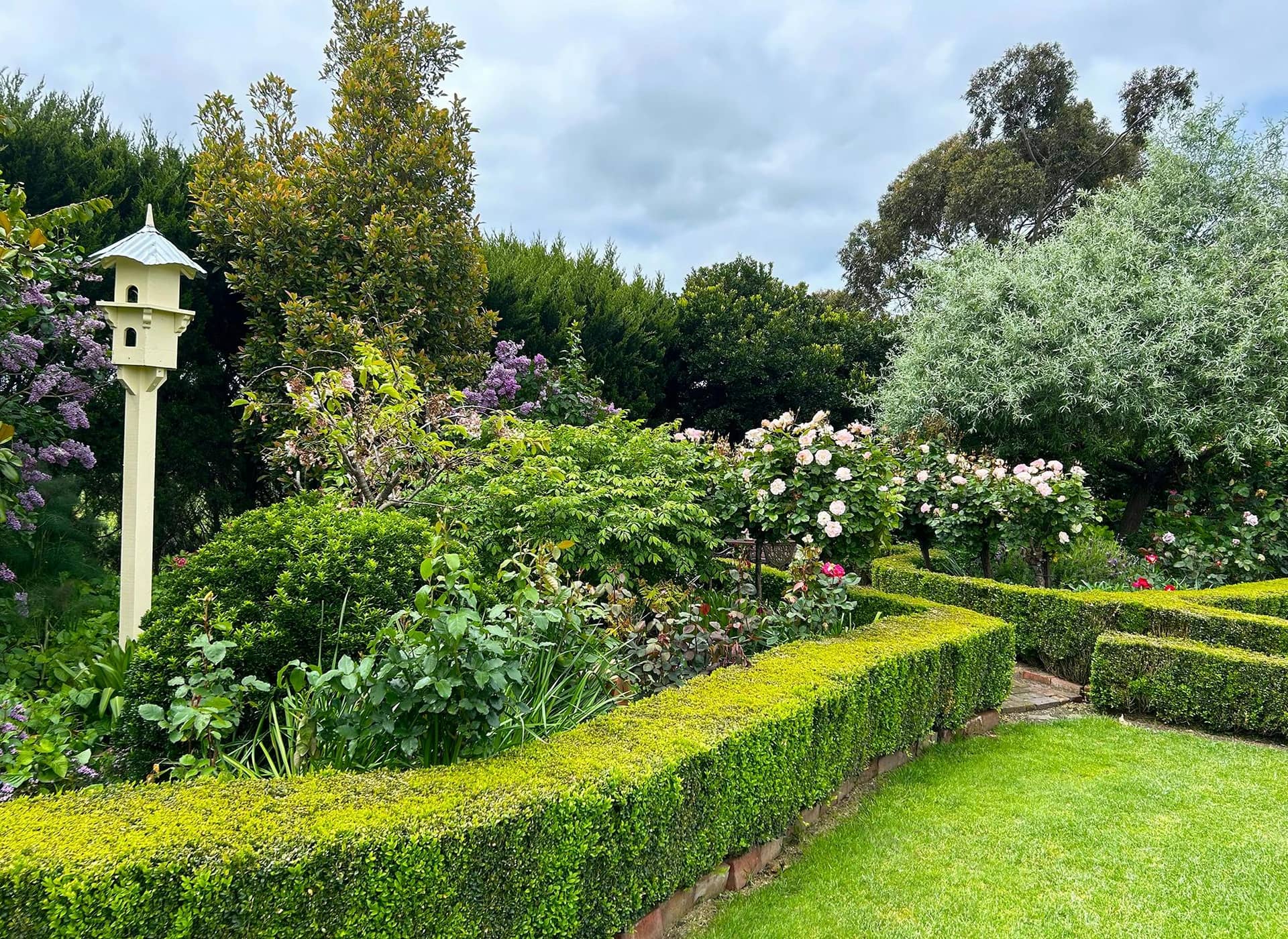 Open Gardens Victoria - Hanami