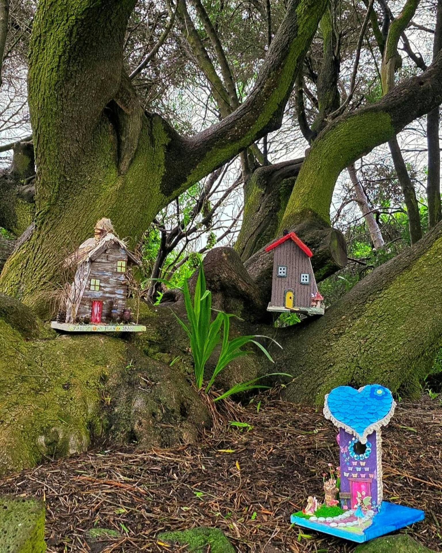 Fairy Equinox – Whimsical Fairy House Trail