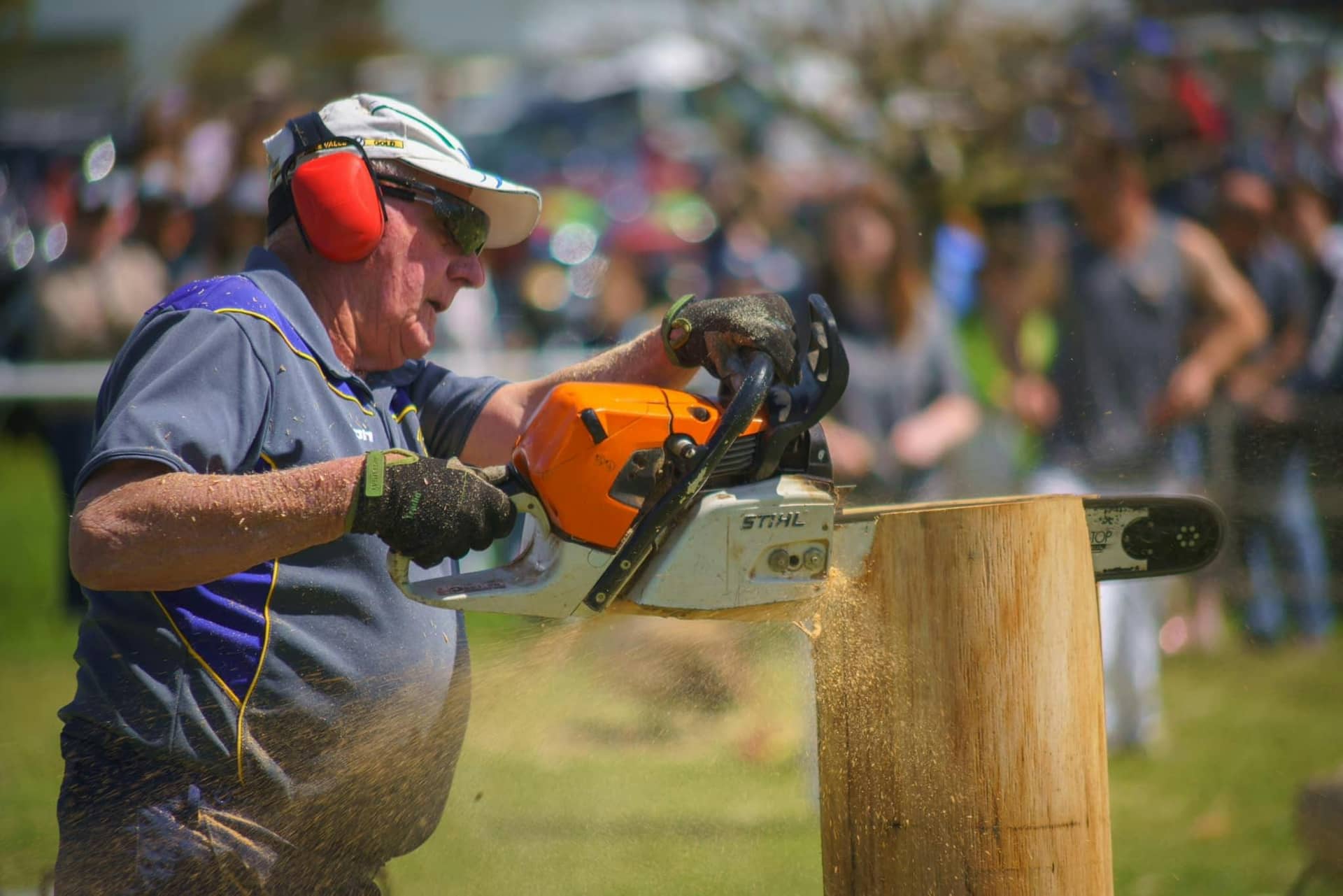 2026 Camperdown Show